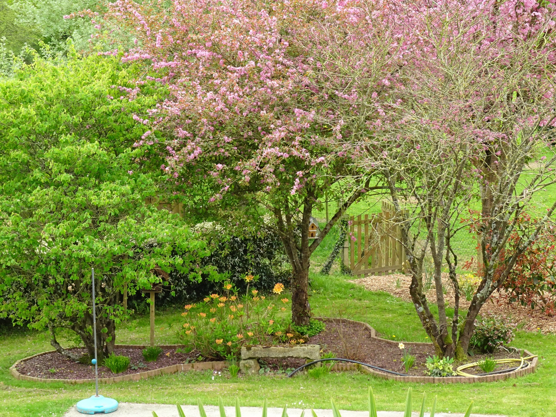 DSC06249